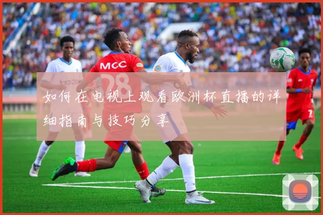 如何在电视上观看欧洲杯直播的详细指南与技巧分享