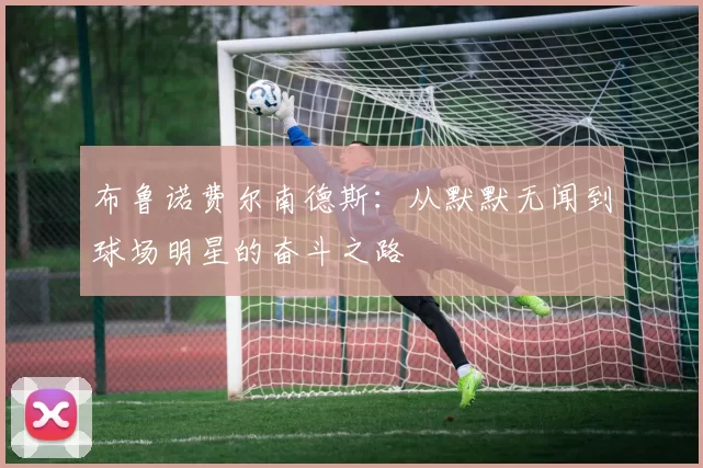 布鲁诺费尔南德斯：从默默无闻到球场明星的奋斗之路