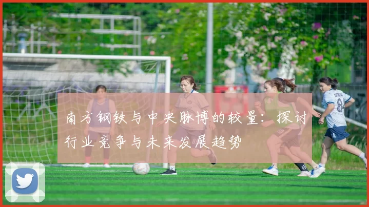 南方钢铁与中央脉博的较量：探讨行业竞争与未来发展趋势